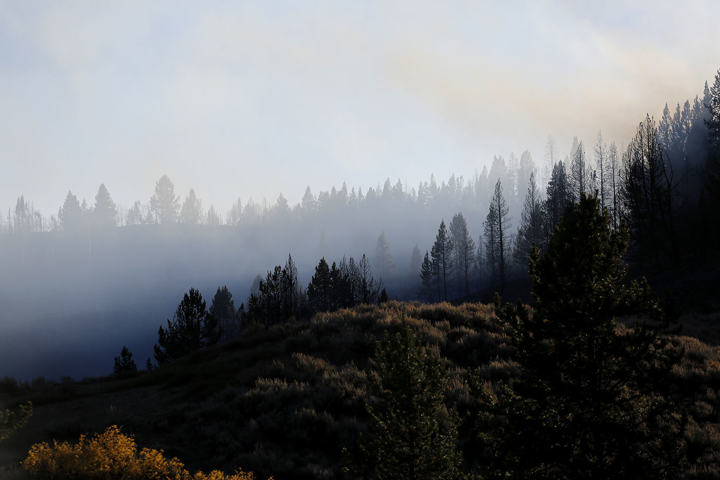 Roosevelt Fire
